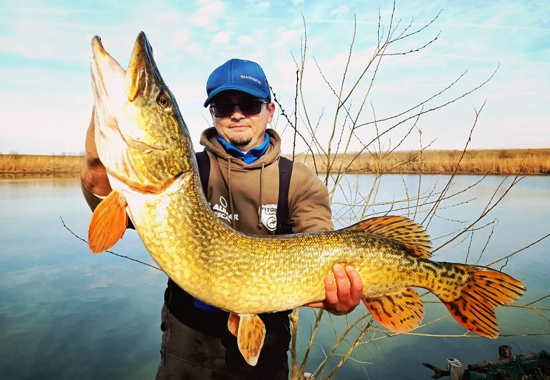 Cum începem pescuitul la spinning? Ghid pentru pescari începători