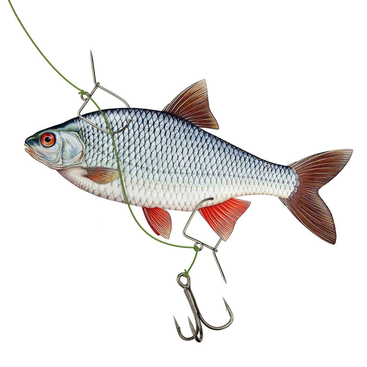Agrafa Pestisor la Somn Nevis Bait Clip for Catfishing, 5buc/pac