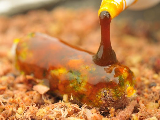 Atractant Korda GOO Orange Bait Smoke 115ml