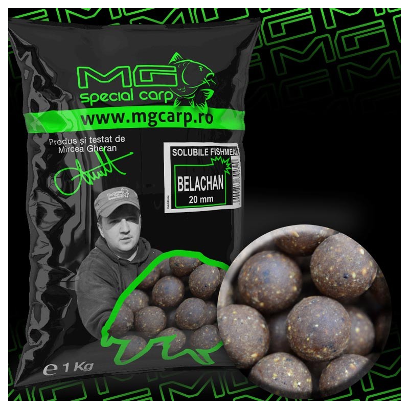 BOILIES MG SPECIAL CARP Solubile Belachan 20mm 1KG