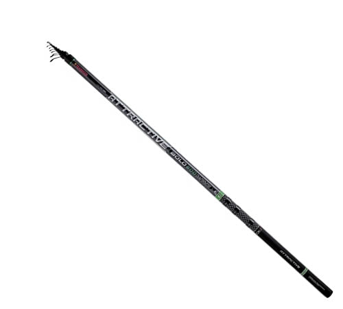 BOLOGNESA TRABUCCO ATTRACTIVE BOLO ALLROUND 5.00M