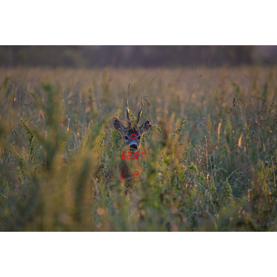 Binoclu GPO Rangeguide 2800, 10x50