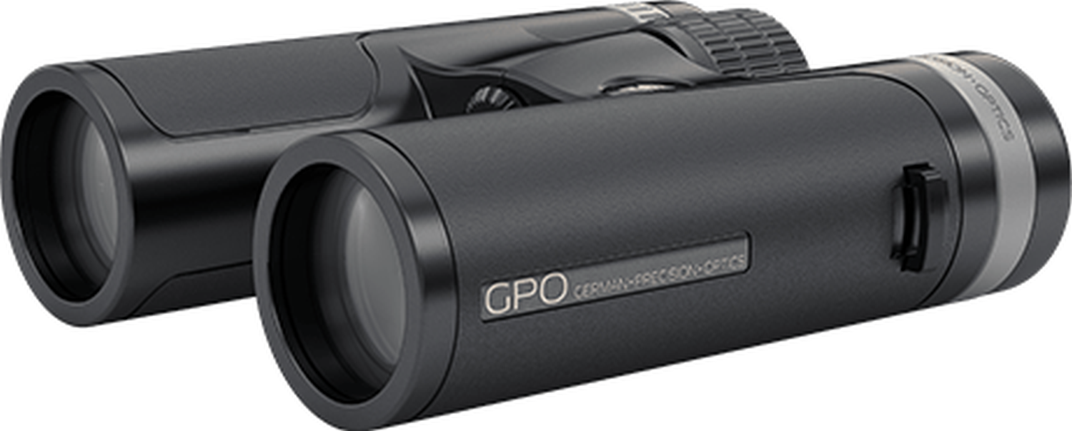 Binoclu Gp Optics Passion SD 8x34