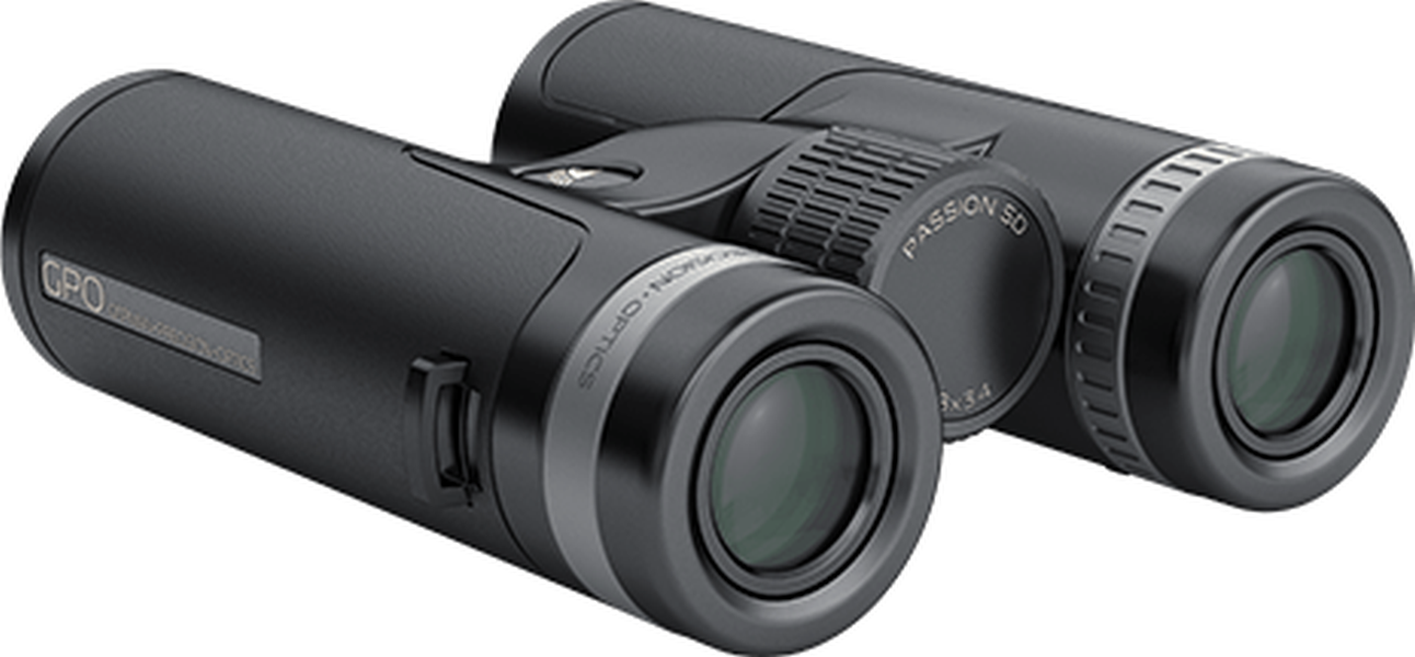 Binoclu Gp Optics Passion SD 8x34