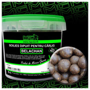 Boilies Carlig MG SPECIAL CARP Dipuit Belachan (14-16-18mm) 200gr