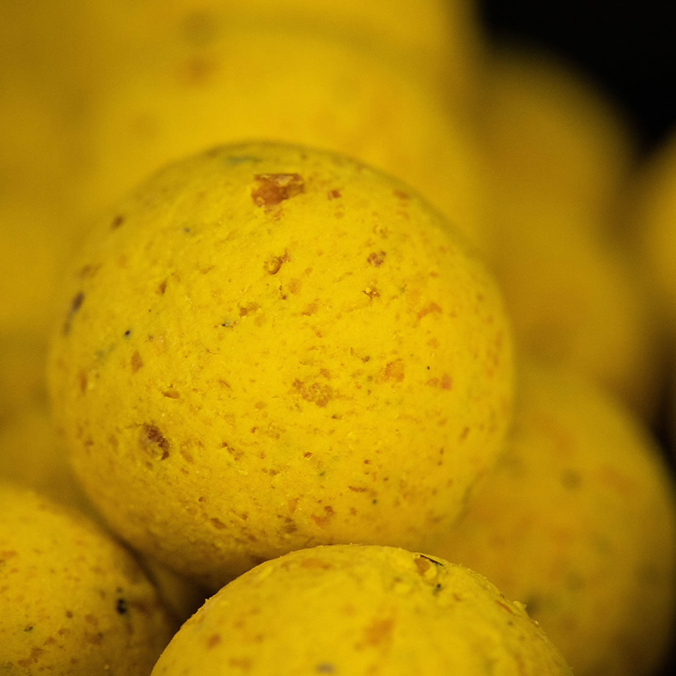 Boilies MAINLINE Shelf Life Essential Cell