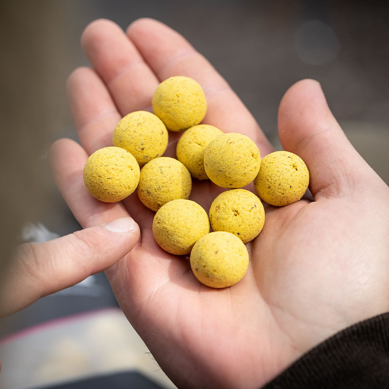 Boilies MAINLINE Shelf Life Essential Cell