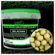 Boilies MG Special Carp Fishmeal Critic Echilibrat Belachan