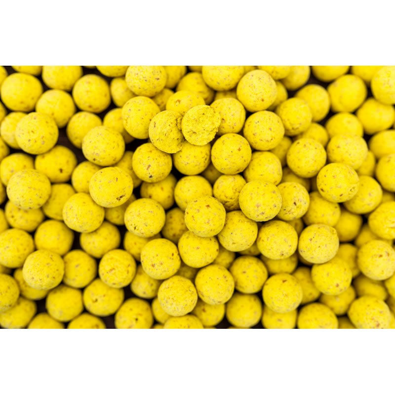 Boilies PRO LINE Scopex N-Butyric, 20mm, 5kg