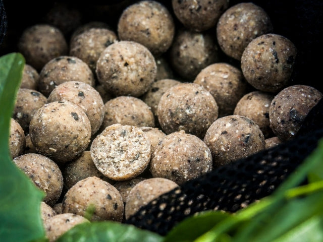 Boilies Select Baits Nutty Scopex - - 5kg