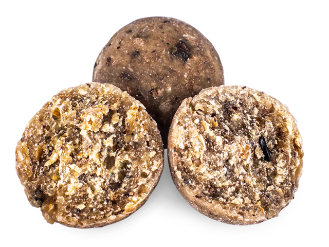 Boilies Select Baits Nutty Scopex - - 5kg