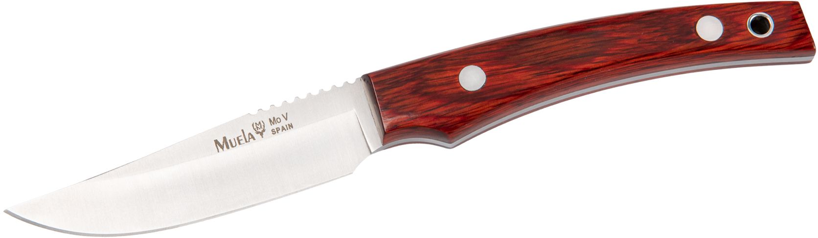 Briceag MUELA 80mm Full Tang Blade, Coral Pakawood Scales