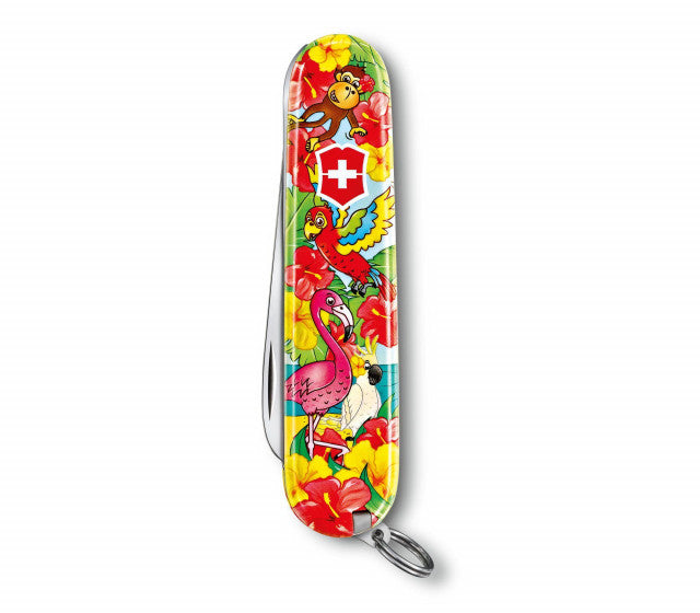 Briceag Victorinox My First, Parrot