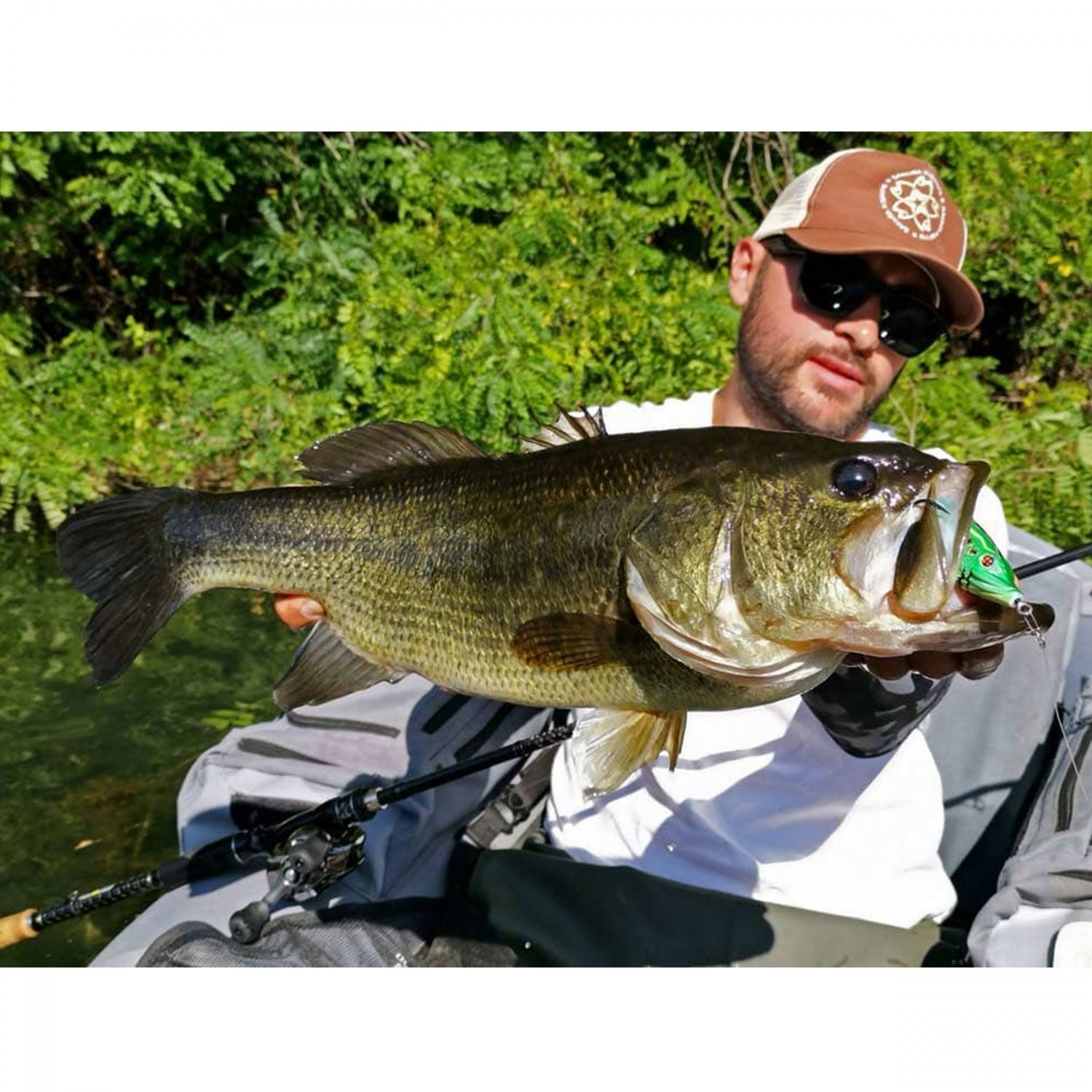 Broasca Sakura Bubble Frog 70F 70mm 19.5gr TF Tiger Frog