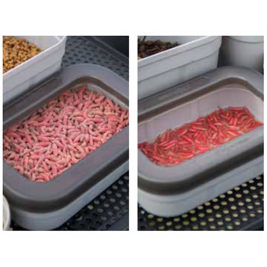 Capac Cutie Momeala MATRIX Air FLow / Lock Tub Skirt Lid
