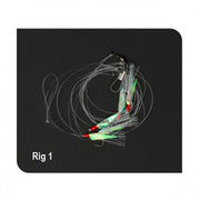 Carlige Montate DAM 1 Herring No.10 UV 145cm/10cm 0.30/0.25mm nr10