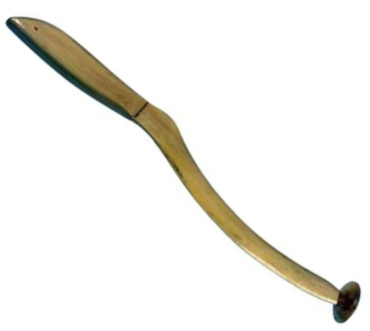Clonc KONGER Dread Cat Aqua Plus