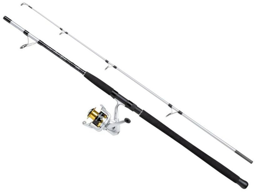 Combo Mitchell Tanager SW Boat Spinning H, 100-300g, 2.10m, 2seg