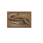 Covor Delphin Retro Somn, 60x40cm
