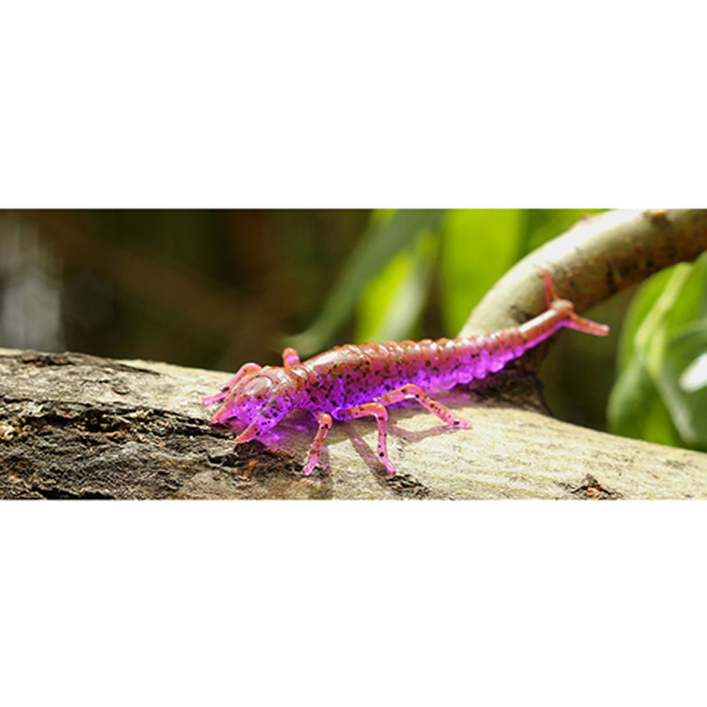Creatura FISHUP Diving Bug, 5cm, Green Pumpkin Seed, 8buc/pac