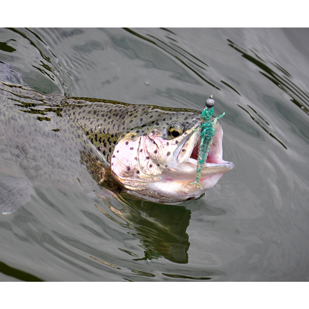 Creatura FISHUP Diving Bug, 5cm, Green Pumpkin Seed, 8buc/pac