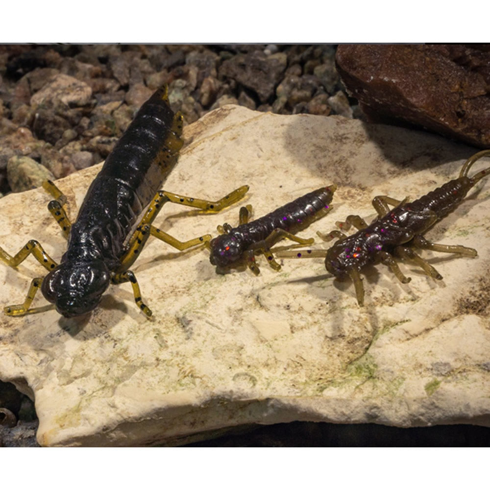 Creatura FISHUP Dragonfly, 2cm, Green Pumpkin Red &amp; Black, 12buc/pac