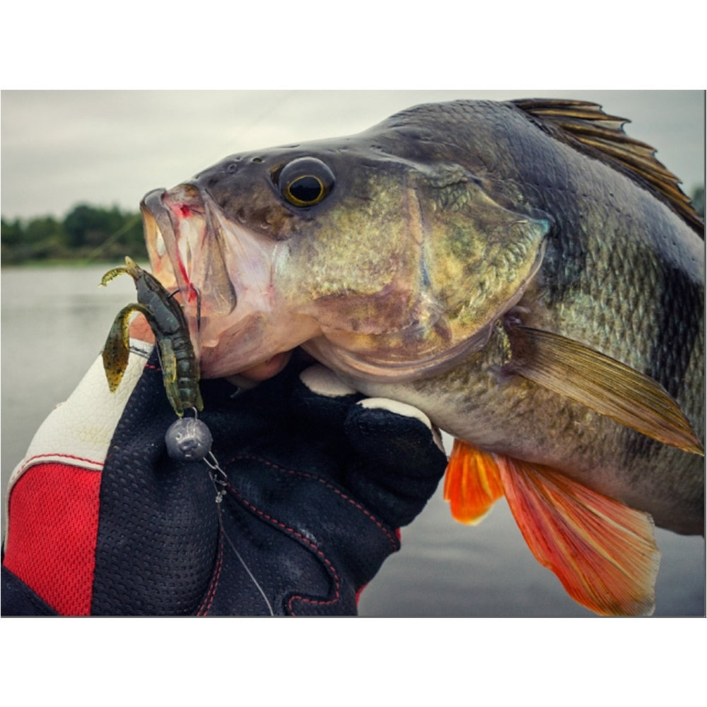Creatura FISHUP Real Craw, 3.8cm, Watermelon Seed, 10buc/pac
