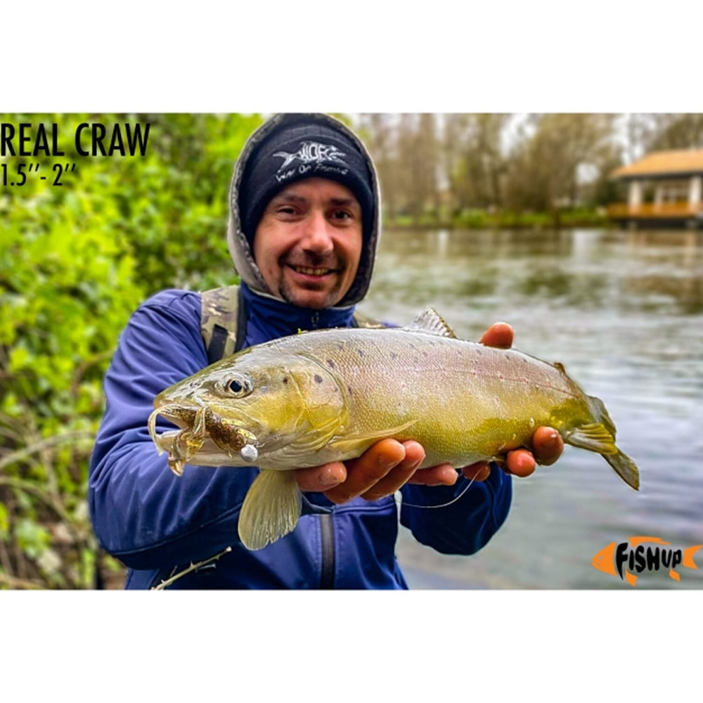 Creatura FISHUP Real Craw, 5cm, Watermelon Brown and Black, 7buc/pac