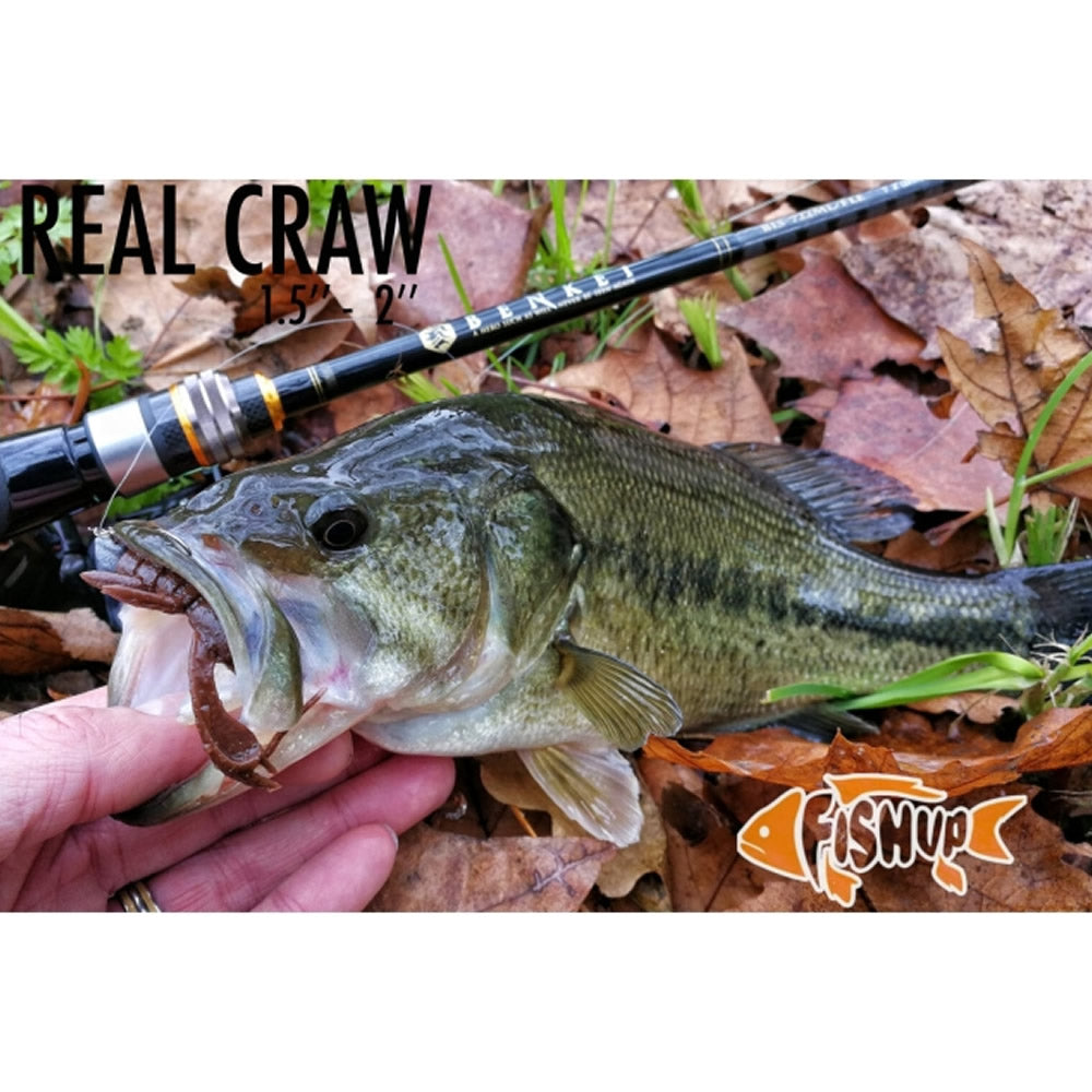 Creatura FISHUP Real Craw, 5cm, Watermelon Brown and Black, 7buc/pac