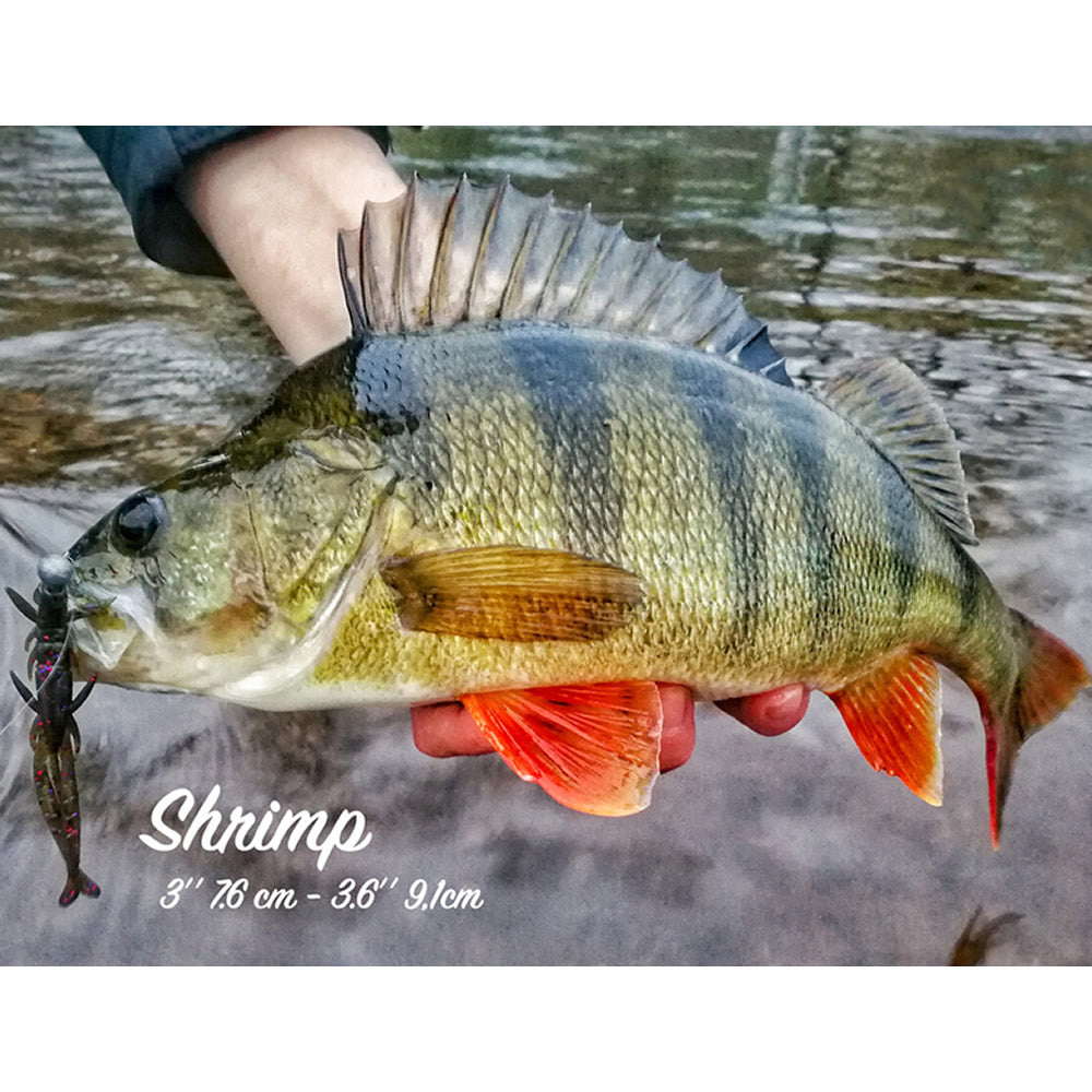 Creatura FISHUP Shrimp 7.6cm, Chaos, 9buc/pac