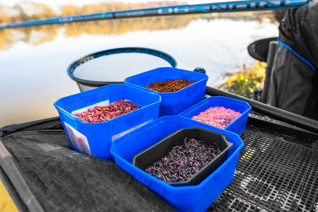 Cutie Momeala Preston Bait Tubs 3PT, Blue Black