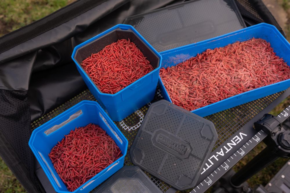 Cutie PRESTON 4Pt Bait Tub, Blue-Black