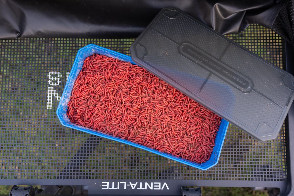 Cutie PRESTON 6Pt Bait Tub, Blue-Black