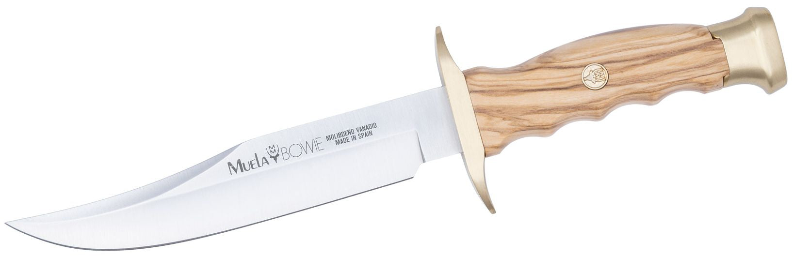 Cutit MUELA 160mm Blade BW-16.OL, Olive Wood Handle With Brass Guard And Cap