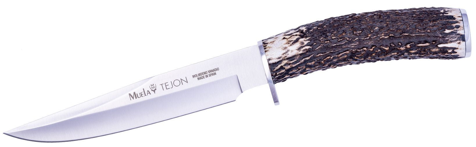 Cutit MUELA 160mm Blade TEJON-16, Stag Handle, Stainless Steel Guard And Cap
