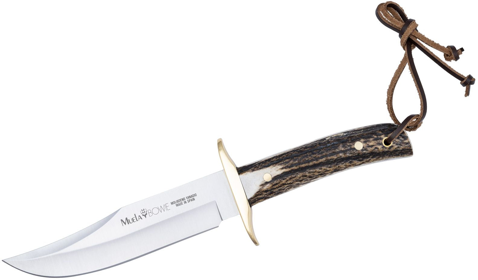 Cutit MUELA 160mm, Full Tang Blade, Brass And Stag Scales