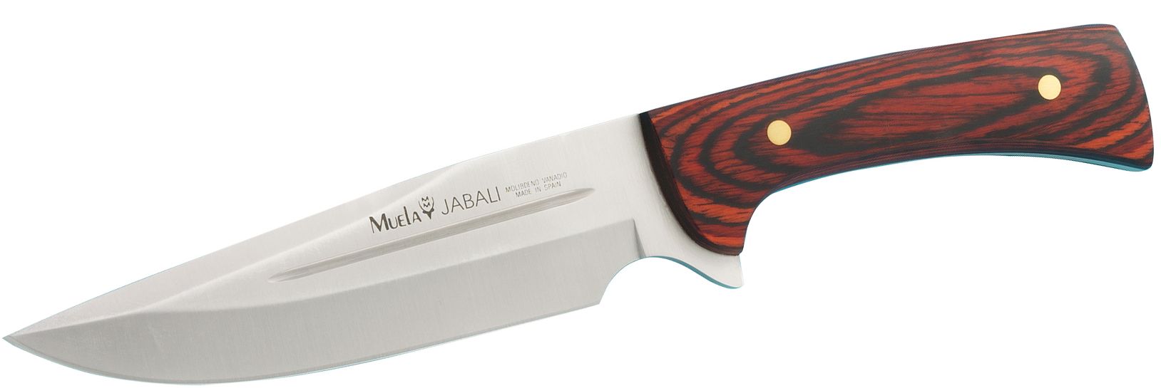 Cutit MUELA 170mm Full Tang Blade JABALI-17E, Full Tang, Coral Pakawood Scales