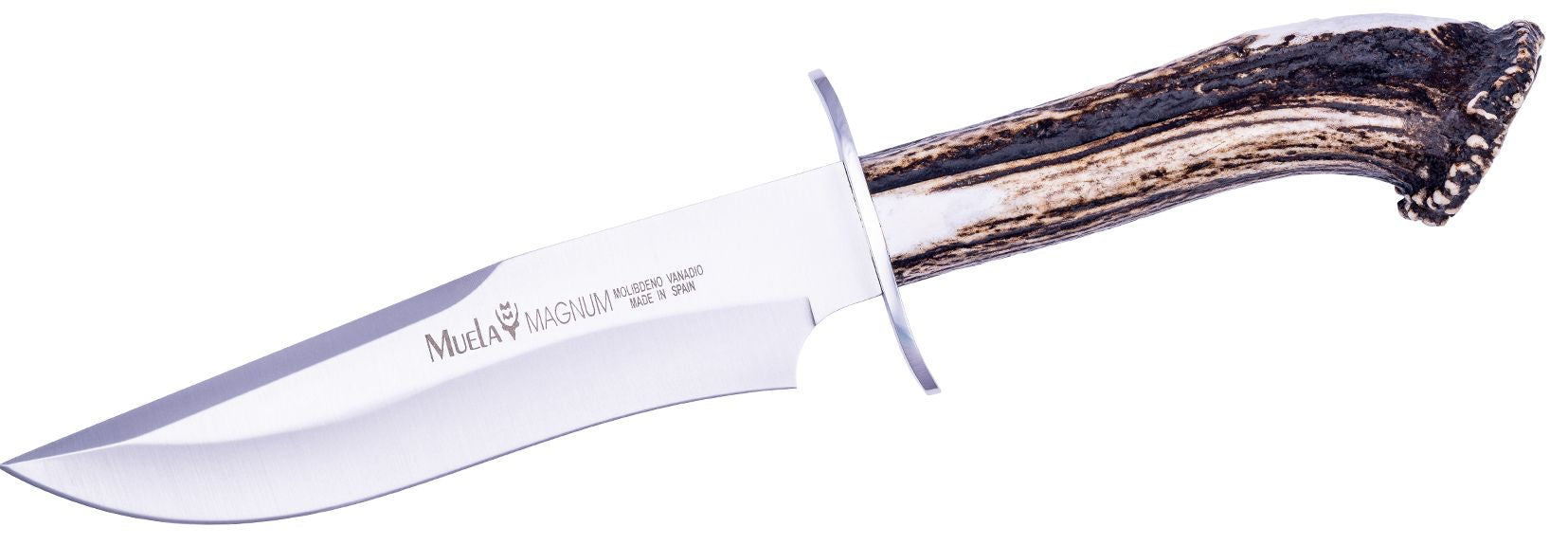 Cutit MUELA 170mm Full Tang Blade MAGNUM-17S, Crown Stag Handle And Stainless Steel Guard