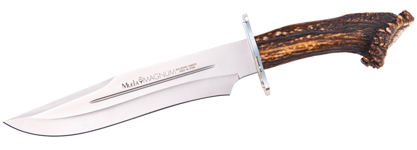 Cutit MUELA 260mm Blade, MAGNUM-26 Crown Stag Handle And Stainless Steel Guard