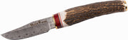 Cutit MUELA 75mm Blade BW-6DAM, 17cm