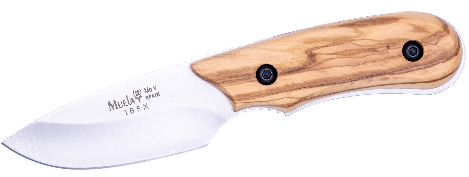 Cutit MUELA IBEX-8.OL Full Tang, Olive Wood Scaleses