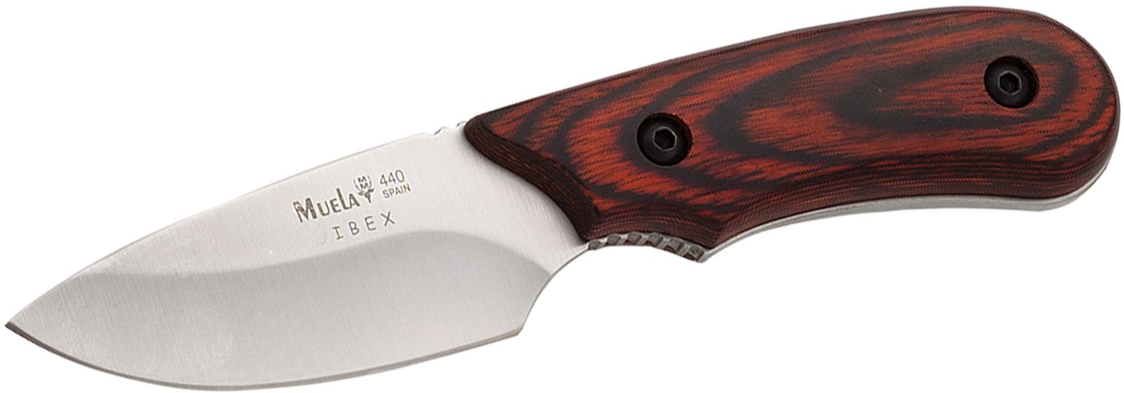 Cutit MUELA IBEX-8R Full Tang, Coral Pakawood Scales