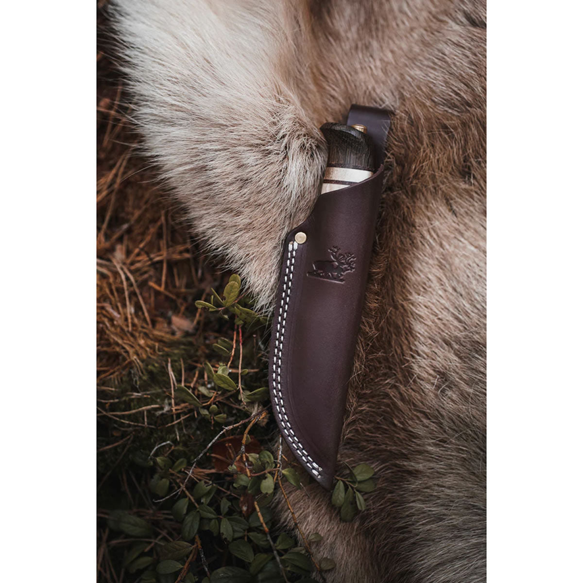 Cutit + Teaca Helle Rein Limited Edition 2023, Lama 110mm
