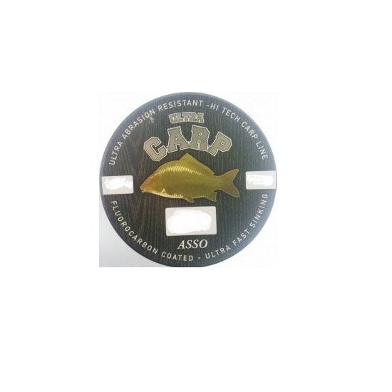 Fir ASSO Ultra Carp Brown 0.30 mm 1000 m