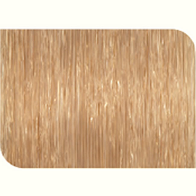 Fir Monofilament Damyl Spezi Line Salau Light Brown, 0.28mm, 6.7kg, 450m