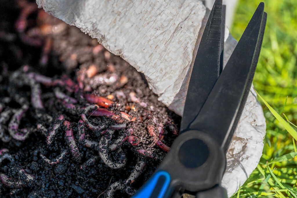 Foarfeca Preston Worm Scissors