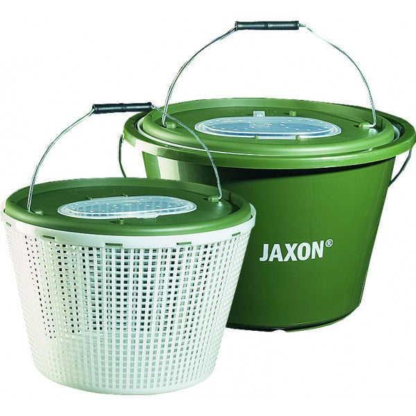 GALEATA JAXON PESTISOR 33x23cm