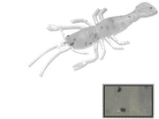 GRUB COLMIC PRAWN 5cm NATURAL