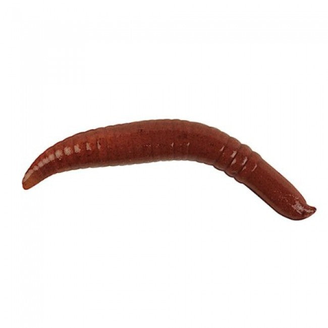 GULP FLOATING PINCHED CRAWLER BERKLEY 2.5cm - NIGHCRAWLER (14 Buc/Pac)