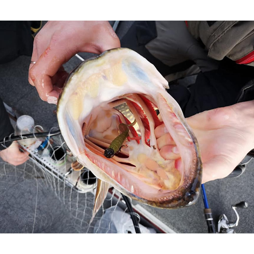 Grub FISHUP Mighty Grub 13.3cm, Lemon, 4buc/pac